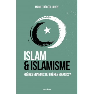 Islam et islamisme: Frères...
