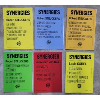 6 exemplaires de Synergies