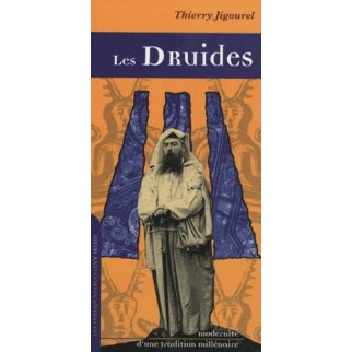 Les druides, modernité...
