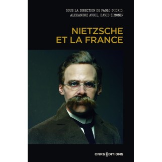 Nietzsche et la France