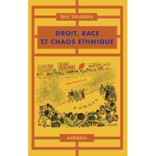 Droit, race et chaos ethnique
