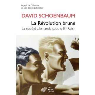 La révolution brune: La...