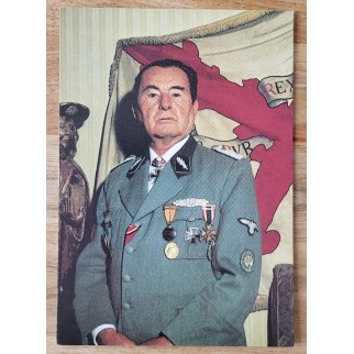 Carte Postale Léon Degrelle