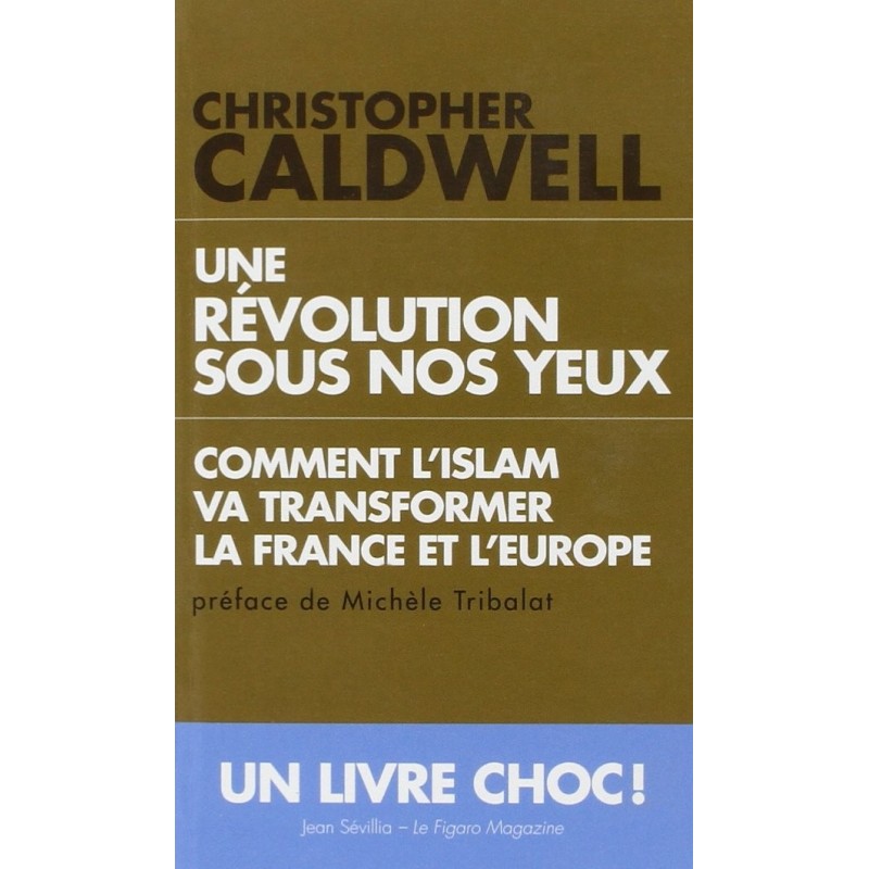 Une révolution sous nos yeux - Comment l'islam va transformer la France et l'Europe (poche)